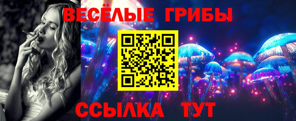 Псилоцибиновые грибы MAGIC MUSHROOMS Бирск